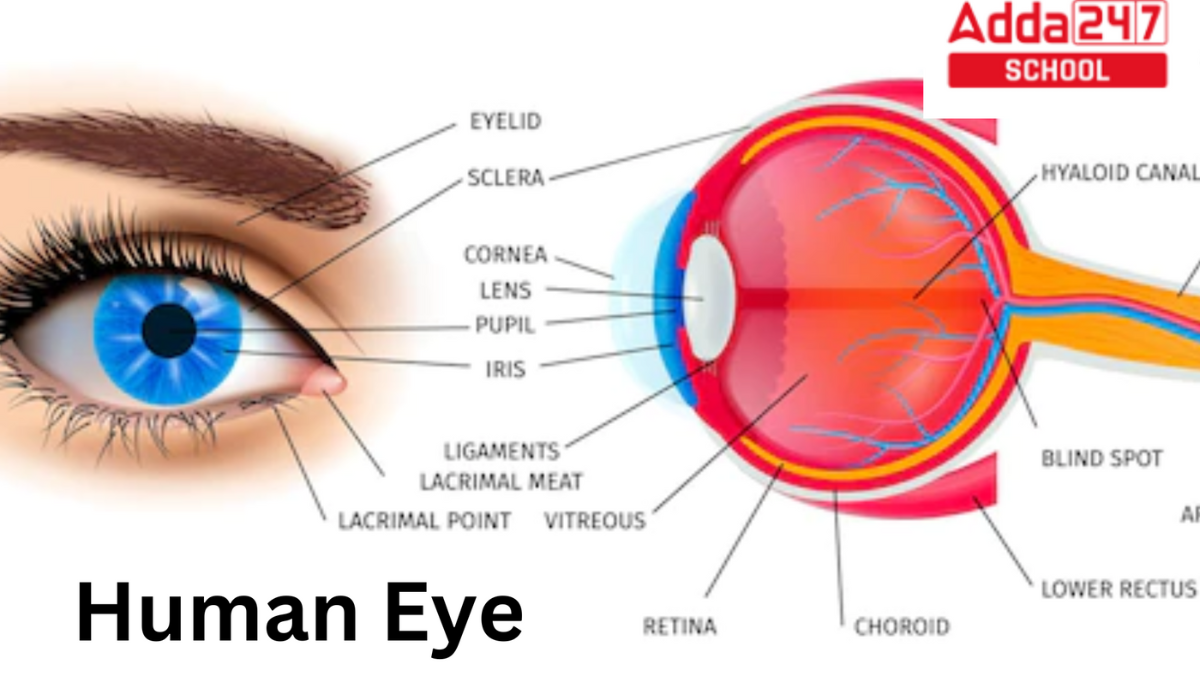 eye diagram
