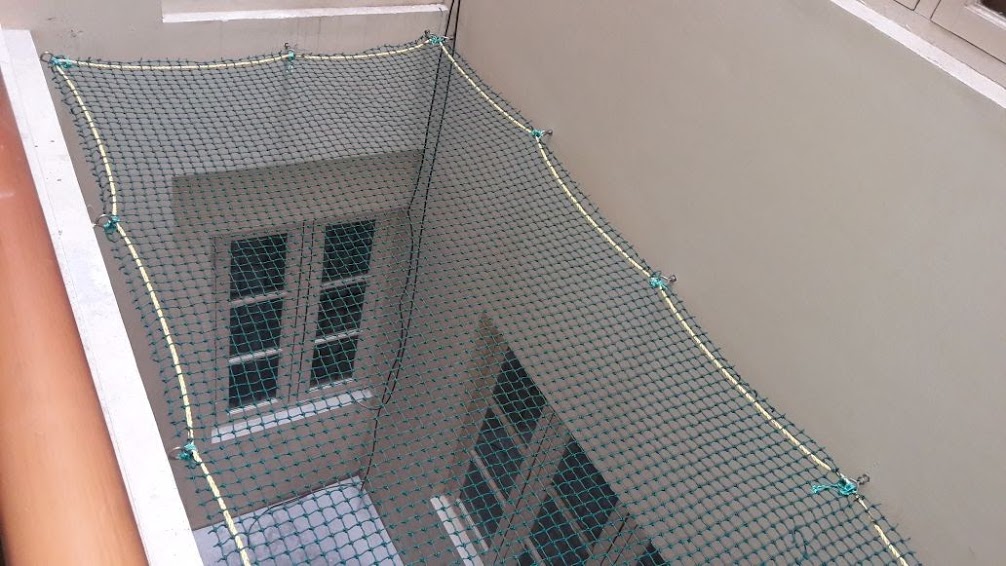 Pigeon Net Installation